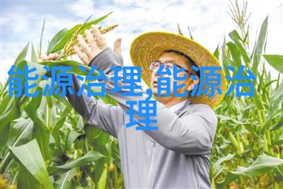 大邑变秸秆粪污为生物天然气并入气网